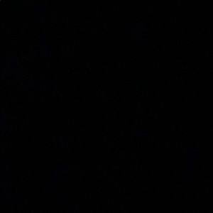 Meet your Posher, Julianna